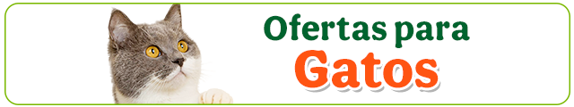 Ofertas gato